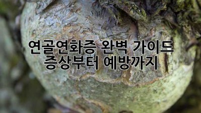 연골연화증 완벽 가이드: 증상부터 예방까지
