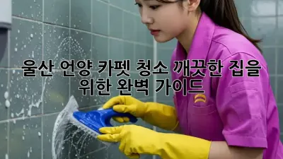 울산 언양 카펫 청소, 깨끗한 집을 위한 완벽 가이드!