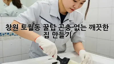 🏡 창원 토월동 꿀팁! 곤충 없는 깨끗한 집 만들기 ✨