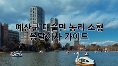 예산군 대술면 농리 소형 용달이사 가이드